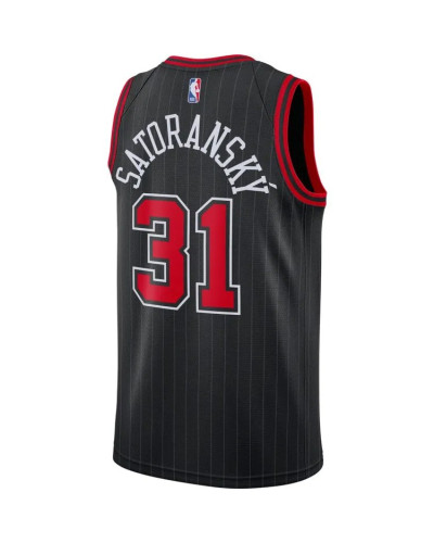 Maillot Jordan NBATomáš Satoranský Bulls Statement Edition