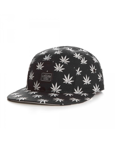 Casquette 5 Panel Cayler And Sons Budz And Stripes