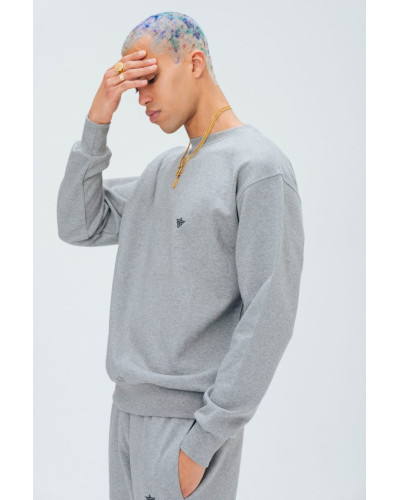 SWEAT DCNTD CORE GRIS