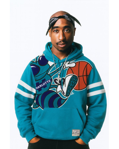 Sweatshirt à capuche Mitchell & Ness NBA Substantial Hornets